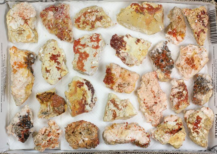 Lot: - Bladed Barite With Vanadinite - Pieces #138195